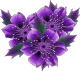 flower (226).g